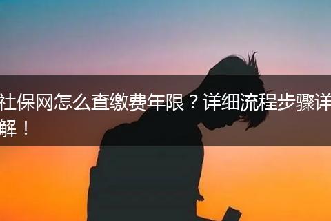 社保网怎么查缴费年限？详细流程步骤详解！