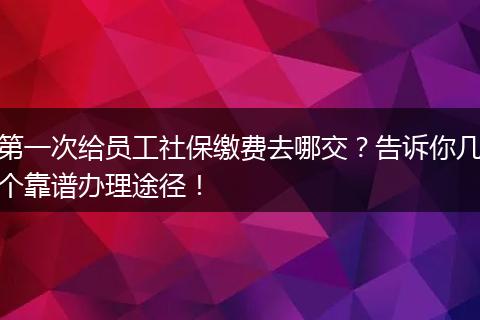 第一次给员工社保缴费去哪交？告诉你几个靠谱办理途径！