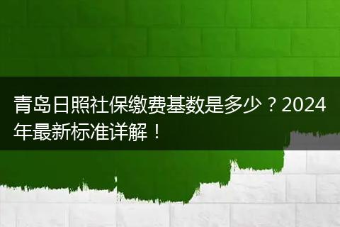 青岛日照社保缴费基数是多少？2024年最新标准详解！
