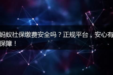 蚂蚁社保缴费安全吗？正规平台，安心有保障！