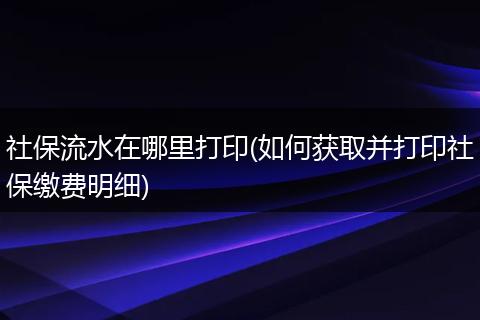 社保流水在哪里打印(如何获取并打印社保缴费明细)