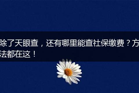 除了天眼查，还有哪里能查社保缴费？方法都在这！