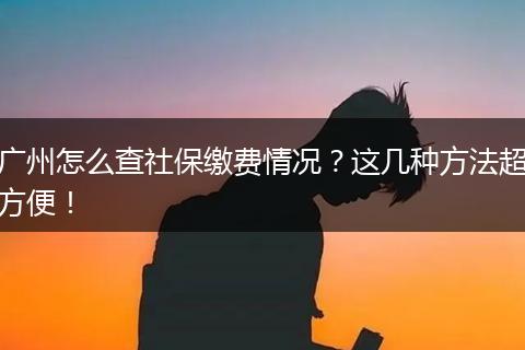 广州怎么查社保缴费情况？这几种方法超方便！