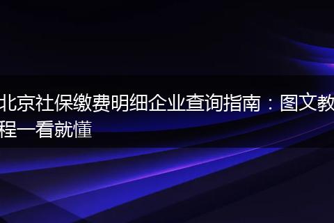 北京社保缴费明细企业查询指南：图文教程一看就懂