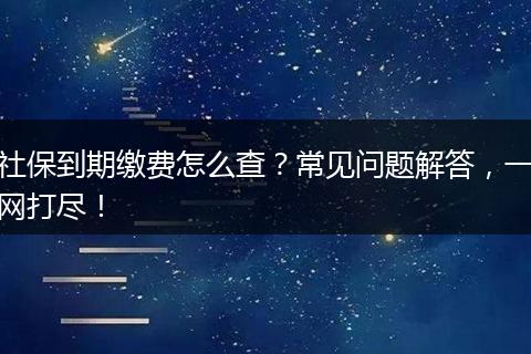 社保到期缴费怎么查？常见问题解答，一网打尽！