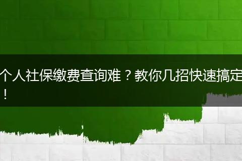 个人社保缴费查询难？教你几招快速搞定！