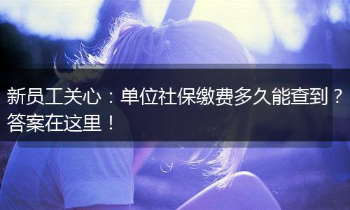 新员工关心:单位社保缴费多久能查到?答案在这里!