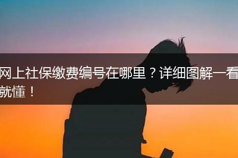 网上社保缴费编号在哪里？详细图解一看就懂！