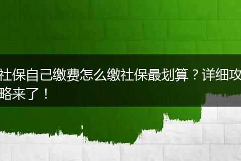 社保自己缴费怎么缴社保最划算？详细攻略来了！