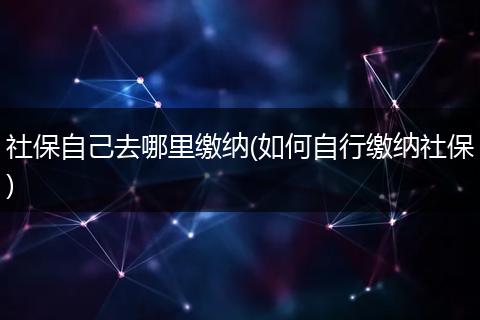 社保自己去哪里缴纳(如何自行缴纳社保)