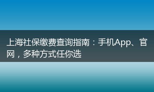 上海社保缴费查询指南：手机App、官网，多种方式任你选
