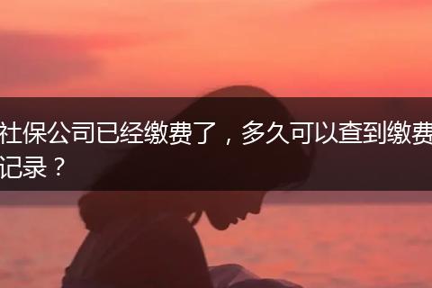 社保公司已经缴费了，多久可以查到缴费记录？