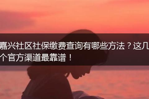 嘉兴社区社保缴费查询有哪些方法?这几个官方渠道最靠谱!