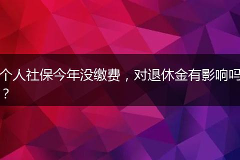 个人社保今年没缴费，对退休金有影响吗？