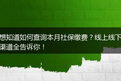 想知道如何查询本月社保缴费？线上线下渠道全告诉你！