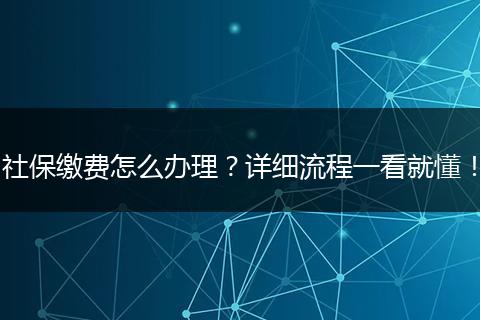 社保缴费怎么办理？详细流程一看就懂！