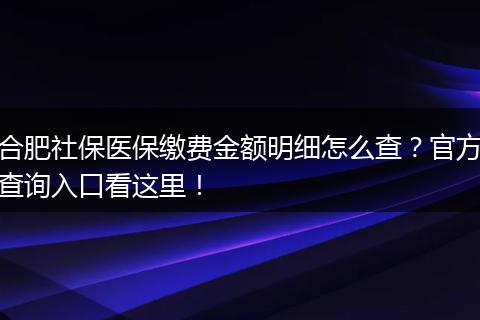 合肥社保医保缴费金额明细怎么查？官方查询入口看这里！