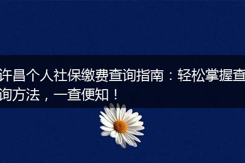 许昌个人社保缴费查询指南：轻松掌握查询方法，一查便知！