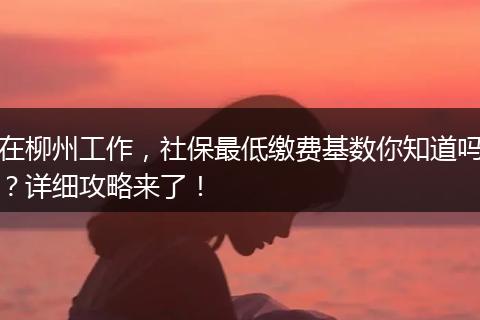 在柳州工作,社保最低缴费基数你知道吗?详细攻略来了!