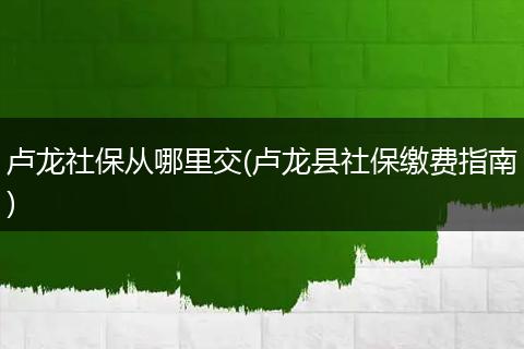 卢龙社保从哪里交(卢龙县社保缴费指南)