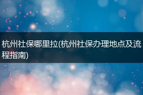 杭州社保哪里拉(杭州社保办理地点及流程指南)