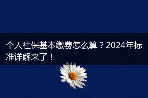 个人社保基本缴费怎么算？2024年标准详解来了！
