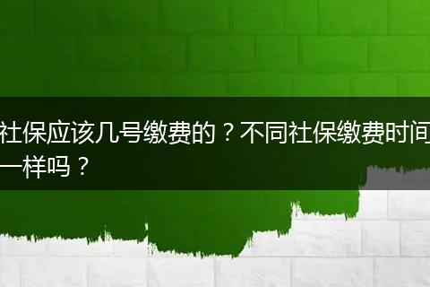 社保应该几号缴费的？不同社保缴费时间一样吗？