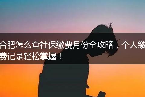 合肥怎么查社保缴费月份全攻略，个人缴费记录轻松掌握！