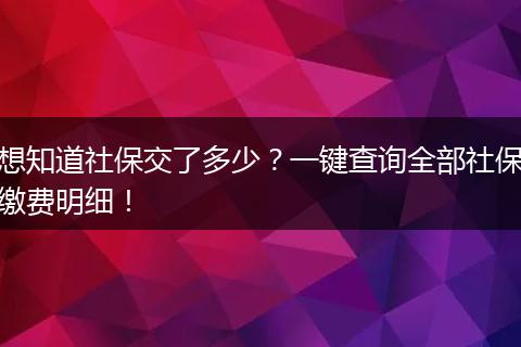 想知道社保交了多少？一键查询全部社保缴费明细！