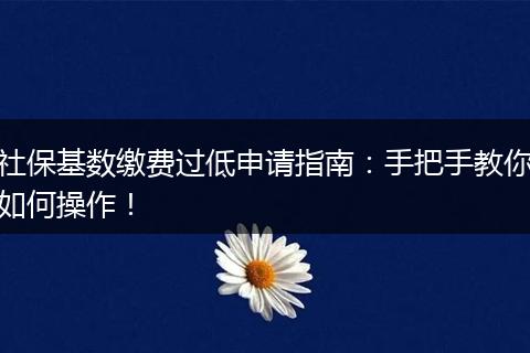 社保基数缴费过低申请指南：手把手教你如何操作！