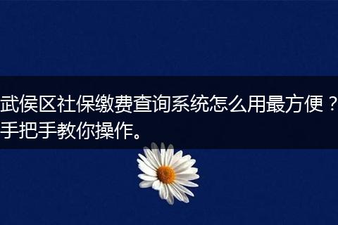 武侯区社保缴费查询系统怎么用最方便？手把手教你操作。