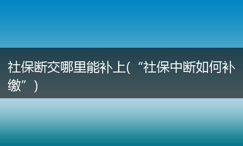 社保断交哪里能补上(“社保中断如何补缴”)