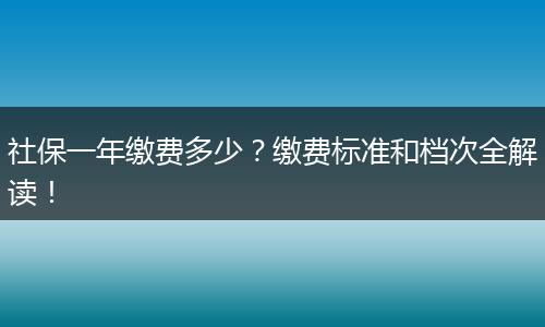 社保一年缴费多少?缴费标准和档次全解读!