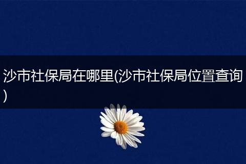 沙市社保局在哪里(沙市社保局位置查询)