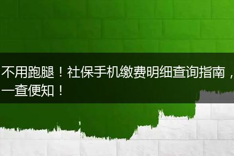 不用跑腿！社保手机缴费明细查询指南，一查便知！
