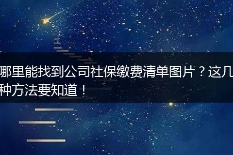 哪里能找到公司社保缴费清单图片？这几种方法要知道！