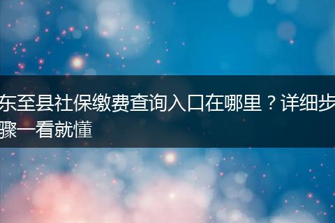 东至县社保缴费查询入口在哪里？详细步骤一看就懂