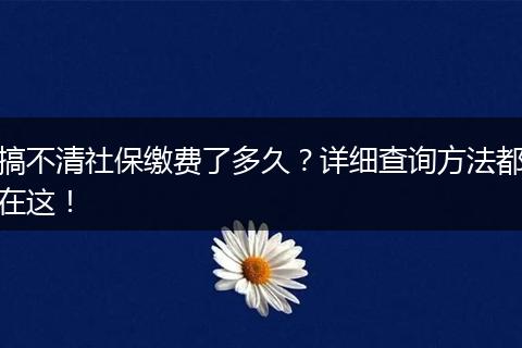 搞不清社保缴费了多久？详细查询方法都在这！