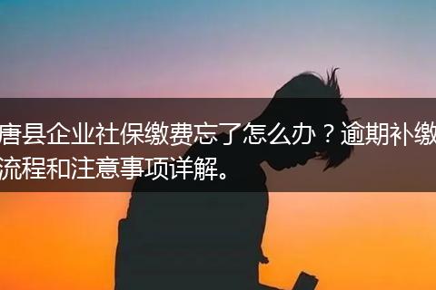 唐县企业社保缴费忘了怎么办?逾期补缴流程和注意事项详解。