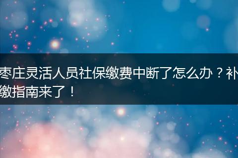 枣庄灵活人员社保缴费中断了怎么办?补缴指南来了!