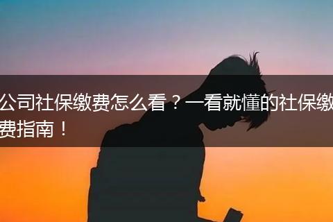 公司社保缴费怎么看？一看就懂的社保缴费指南！