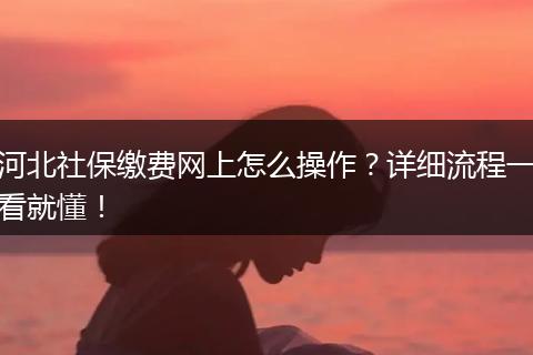 河北社保缴费网上怎么操作？详细流程一看就懂！