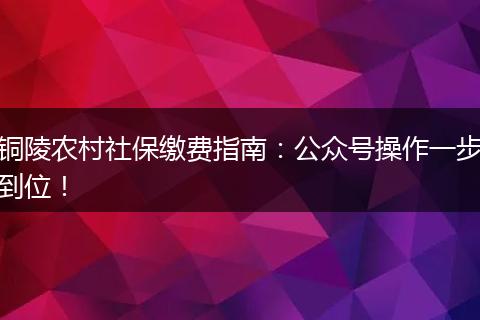 铜陵农村社保缴费指南:公众号操作一步到位!