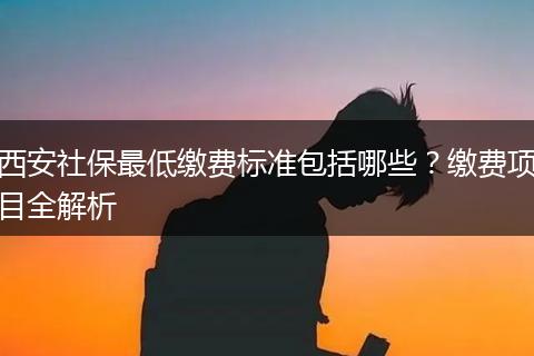 西安社保最低缴费标准包括哪些？缴费项目全解析