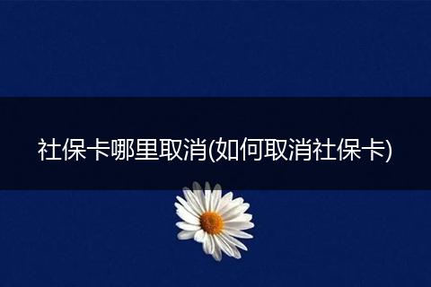 社保卡哪里取消(如何取消社保卡)