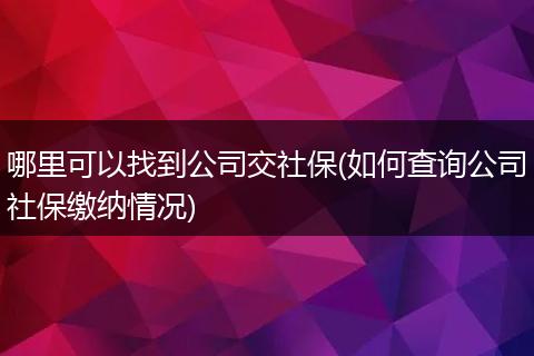 哪里可以找到公司交社保(如何查询公司社保缴纳情况)
