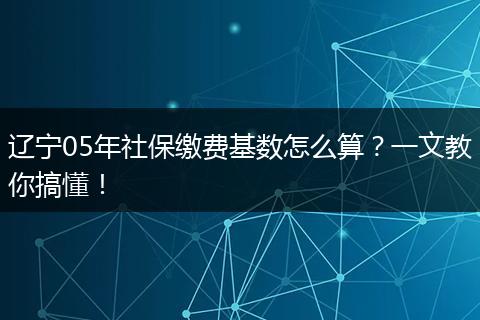 辽宁05年社保缴费基数怎么算？一文教你搞懂！