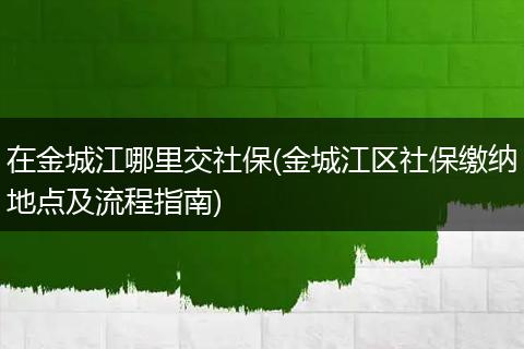 在金城江哪里交社保(金城江区社保缴纳地点及流程指南)