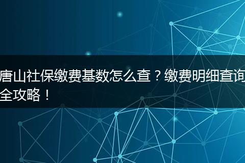 唐山社保缴费基数怎么查？缴费明细查询全攻略！