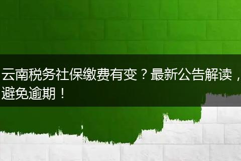 云南税务社保缴费有变?最新公告解读,避免逾期!